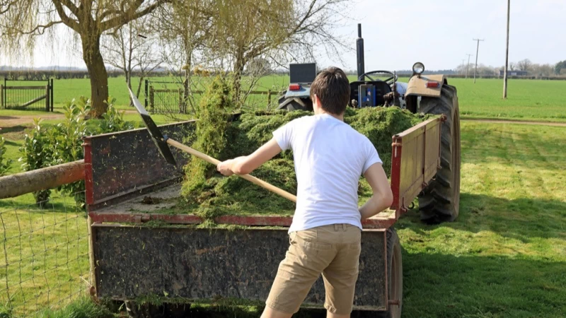 Cover image for Farm Business Tenancy Rent Tender