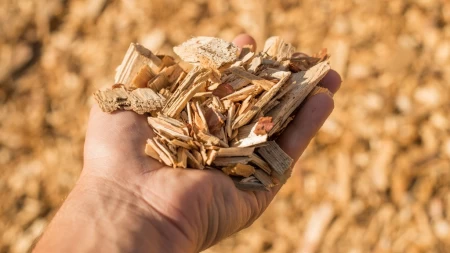 Thumbnail for: Biomass