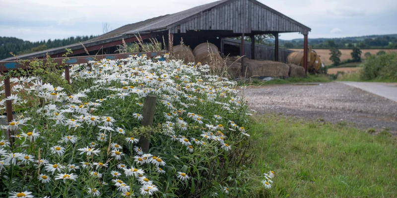 Business and agricultural property reliefs