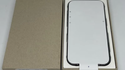 Image Captioned: Replacement Device Example