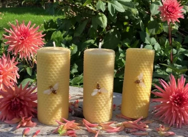 Photo of Single Bee Motif Candle