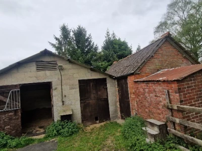 Image Captioned: Original site