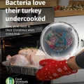 Thumbnail image for Food Safety Standards - Bacteria love their turkey undercooked