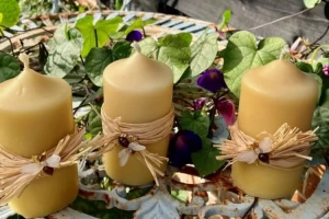 Cover image for Beeswax & Candles