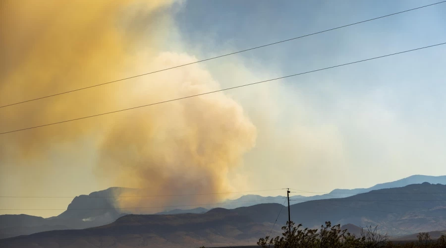 How to prevent wildfires