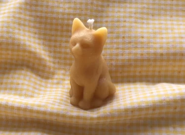 Photo of Single White Cat Candle