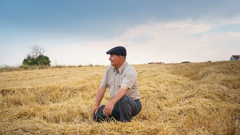 Cover image for Evaluating Potential of Farm on Farmers Retirement