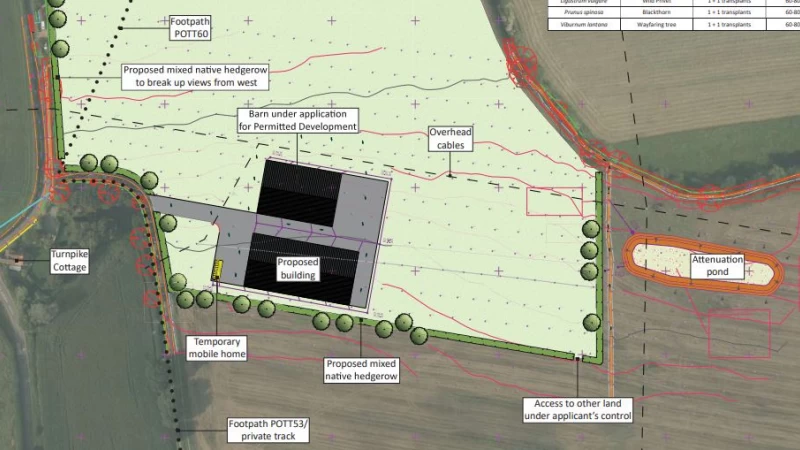 Cover image for New beef farm and dwelling approved in Wiltshire