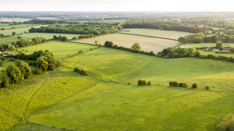 Cover image for Single Payment and ELS for Land Without Payments