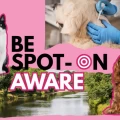Thumbnail image for Pet owners urged to take care when using flea and tick treatments to help protect our waterways