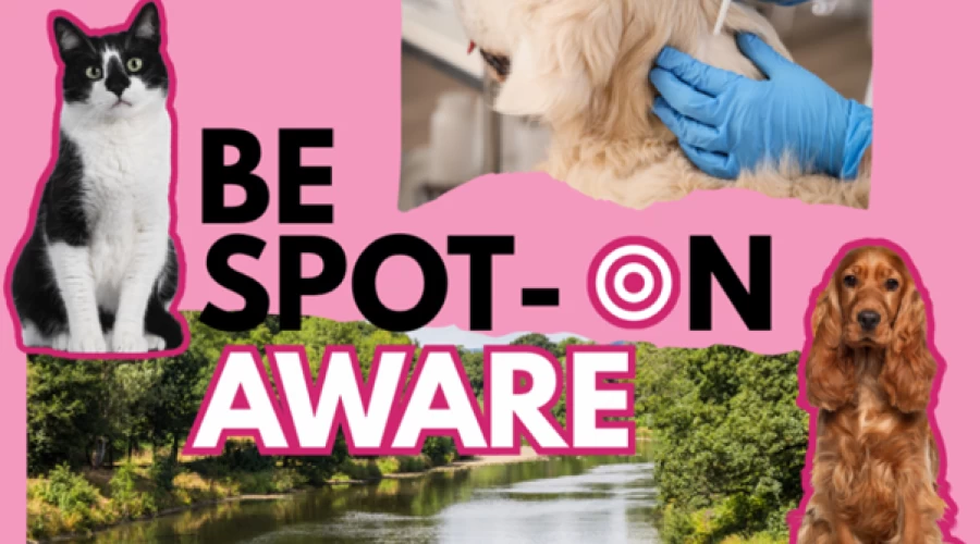Pet owners urged to take care when using flea and tick treatments to help protect our waterways