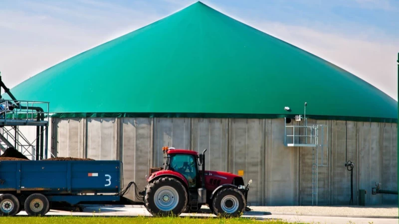 Cover image for Anaerobic Digestion