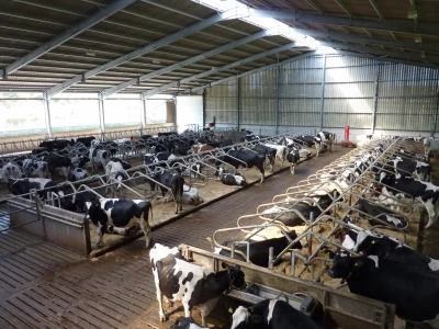 Image Captioned: Large  new build dairy unit