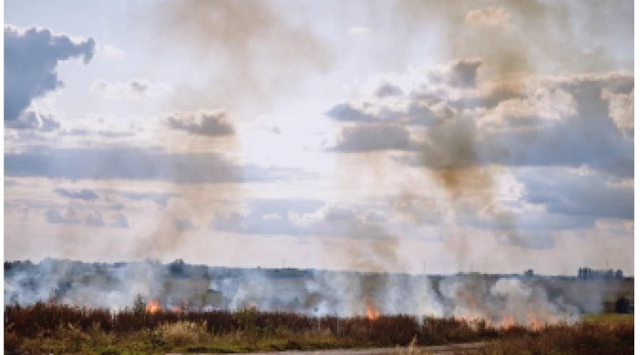 Stay safe this summer - reduce the risk of wildfires