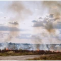 Thumbnail image for Stay safe this summer - reduce the risk of wildfires