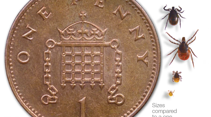 UKHSA - Be tick aware this Spring