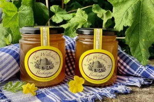 Cover image for Honey Products