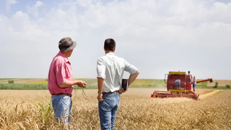 Cover image for Business Review