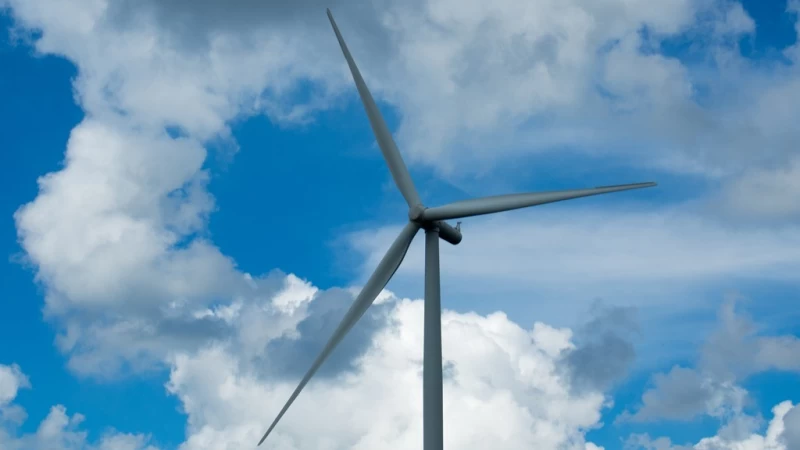 Cover image for Wind