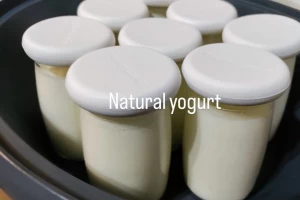 Cover image for Plain yogurt