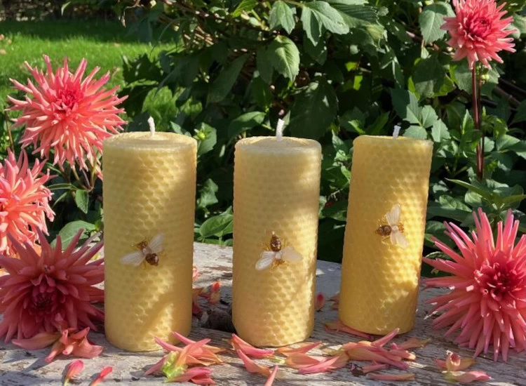 Photo of Single Bee Motif Candle