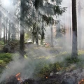 Thumbnail image for Wildfires put DWFRS under pressure this summer