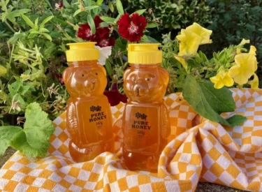 Photo of Single Teddy Bear Filled with Honey