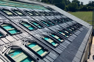 Cover image for Book a Survey