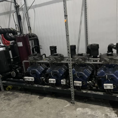 Motors