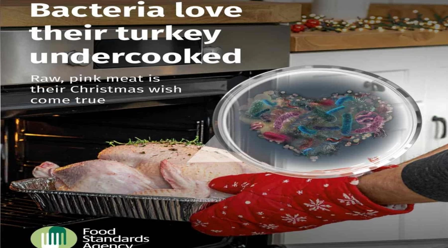 Food Safety Standards - Bacteria love their turkey undercooked