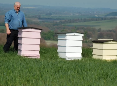 Photo of Beekeeping Experience