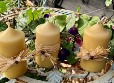 Photo of Single Cathedral Candle
