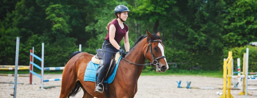 Equestrian