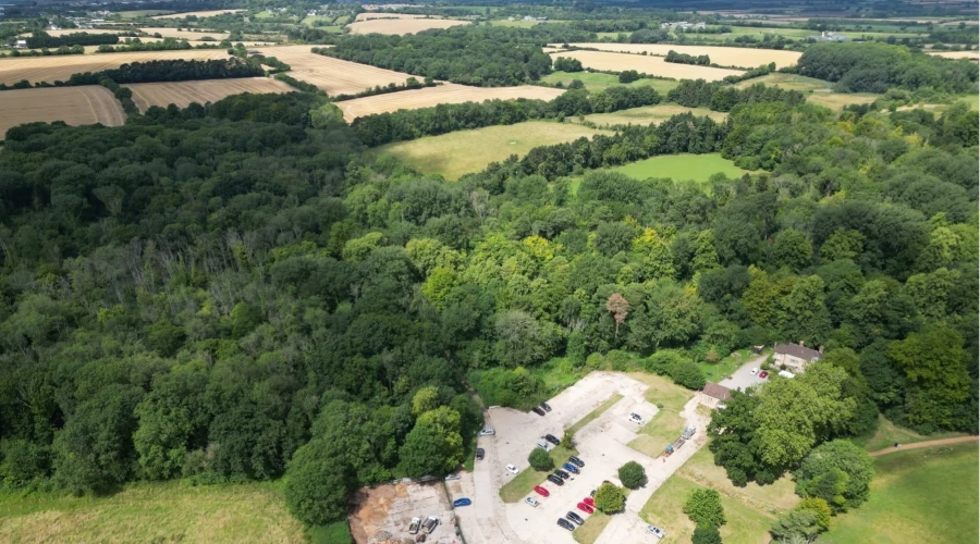 Celebrating National Tree Week