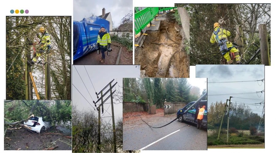 Spotlight on SSEN - Storm Bert